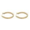 Náušnice kruhy zlaté z chirurgickej ocele J151