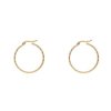 Náušnice kruhy (33 mm) zlaté z ocele C555