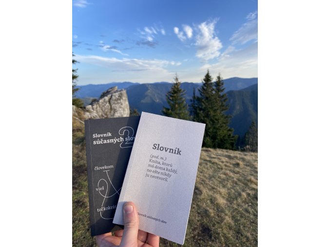 Slovník súčasných slov