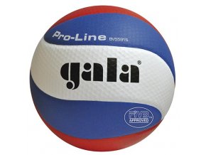Míč volejbal PRO-LINE GALA PROFI 5591S vel. 5