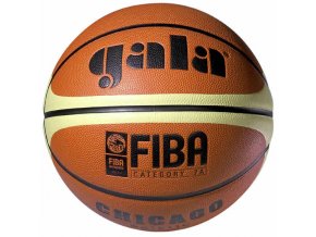 Míč basket CHICAGO BB5011C vel. 5