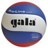 Míč volejbal PRO-LINE GALA PROFI 5591S vel. 5