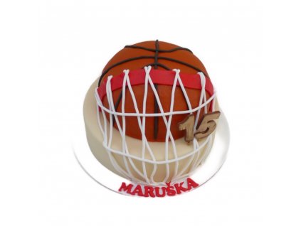 mic volejbal inPixio