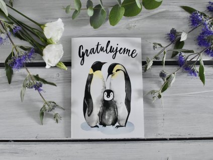 Přáníčko "Gratulujeme" s tučňáky