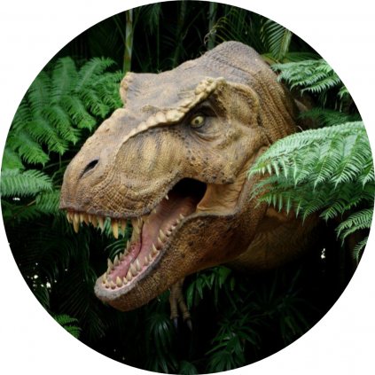 DINOSAUR HLAVA
