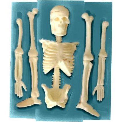 323053 silikonova formicka 11x9 5cm kostlivec cakesicq