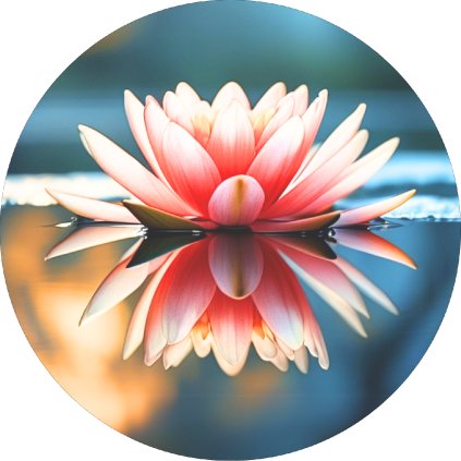 Jedlý papír květ Lotus - Leknín