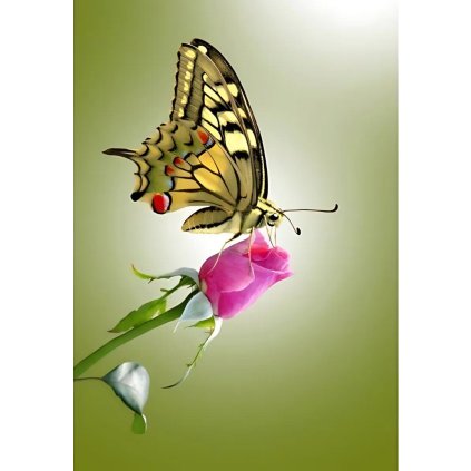 Jedlý papír Motýlci na hranatý dort