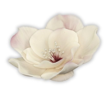 Luxusní cukrový květ Leknínu, bílý 11 cm