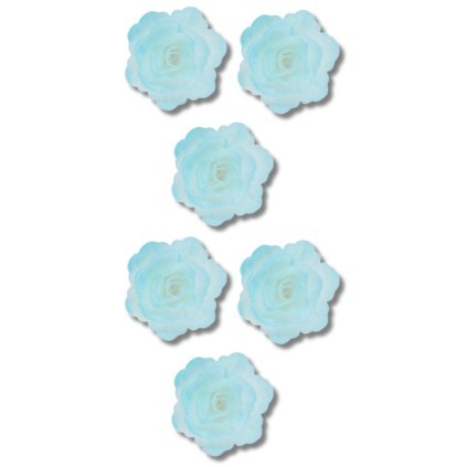 Malý jedlý květ - 18 ks Pivoňka - modrá 4,5 cm