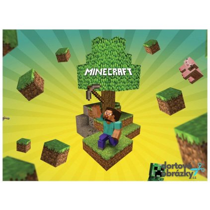 Jedlý papír  MINECRAFT  tisk na jedlý papír | expresní dodání