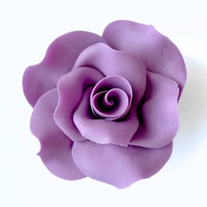 7c812a348cc7e6292fae81581d34ea2d