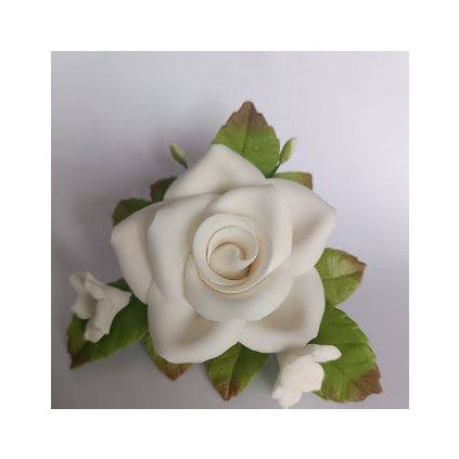 308303a5eaaed564093bf8315d8c4512