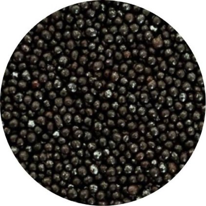 5498716eb2ffb618bc2e3b13f4368a7a