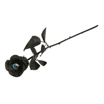 0033531 cerna ruze s okem 42 cm 600