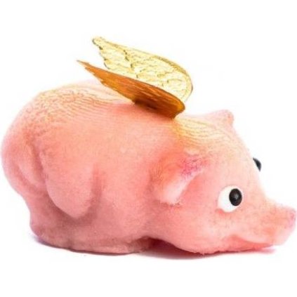 1e750476009cc1de5f401c163cc40440