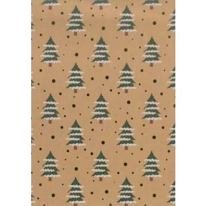 cz pim 608082001001 00