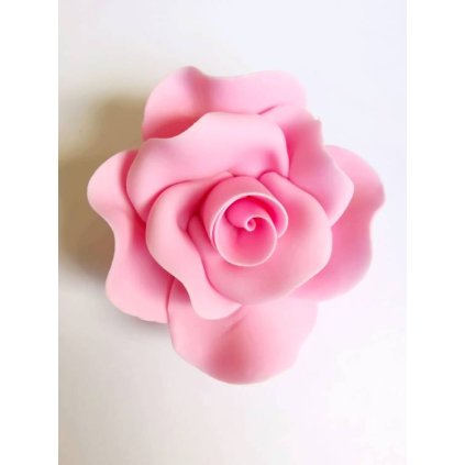 0a9032889cdea9077a869fd693d5a215