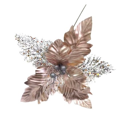 cz pim 488326001001 00