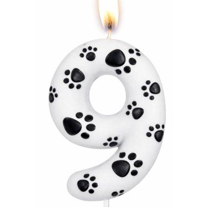 2e8a06dc4ab3d44a8cf01507e1a39210