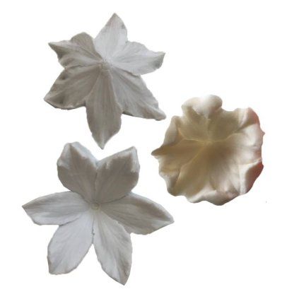1a97fd5b9333e5f059c0129f7d96c0f0