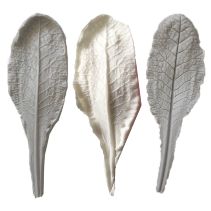 1c2e7a30c71884dc5725703cf15c81f3