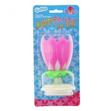 150110 dortova fontana kvetina hrajici ruzova godan