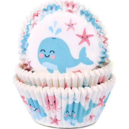 97c8d2c4bbb494a475a2d8a88afeede7