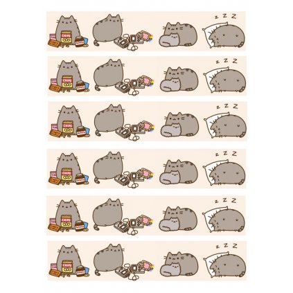 tasma na bok tortu pusheen