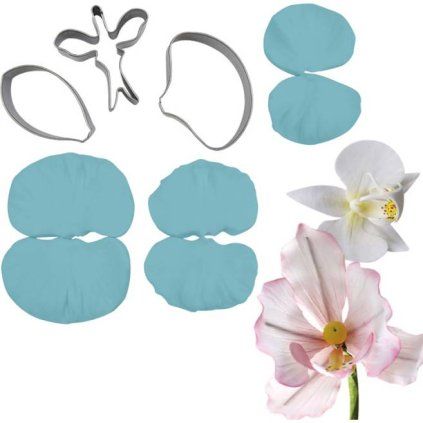 745b339116234e4d2e90e5fdaaaa6bdd