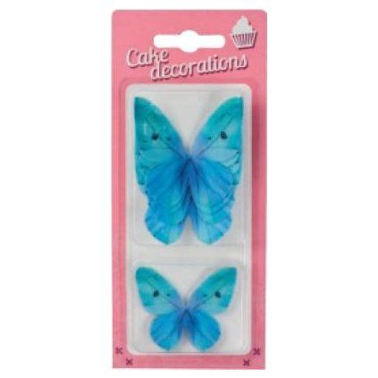 5378117baecc74c5e3565fc1b5fddf57