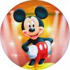 MICKEY34589