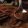 Švýcarská čokoláda Lindt - mléčná 300 g