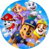 PAWPATROLNOVINK