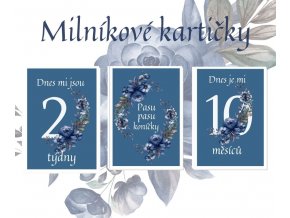 Milníkové kartičky - flower blue