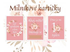 Milníkové kartičky - flower pink