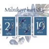 Milníkové kartičky - flower blue