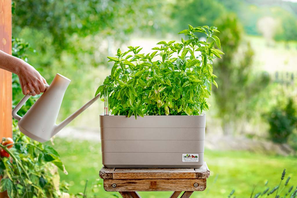 CO JE TO PiLNÝ TRUHLÍK?