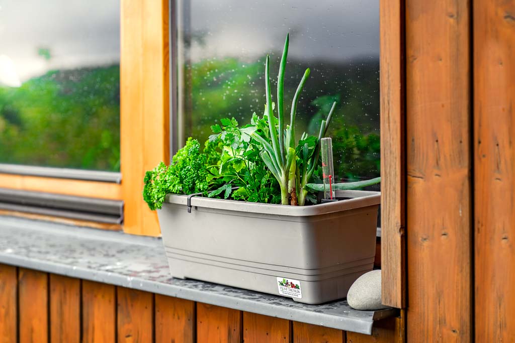 Kombinování plodin