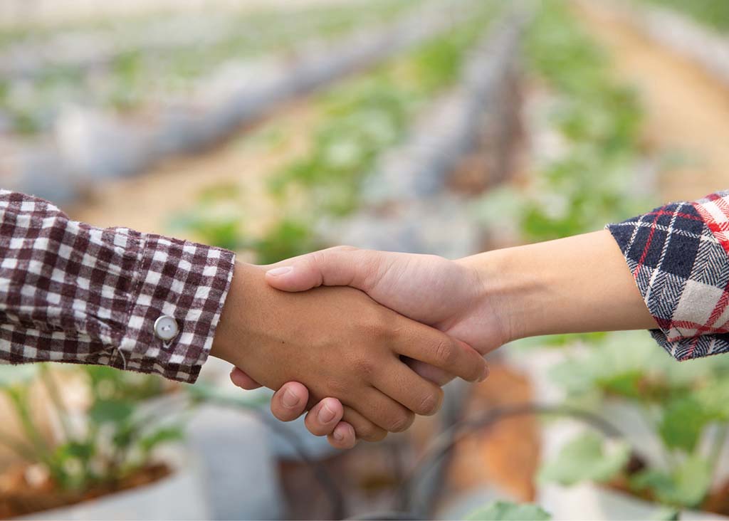 Záruka spokojenosti