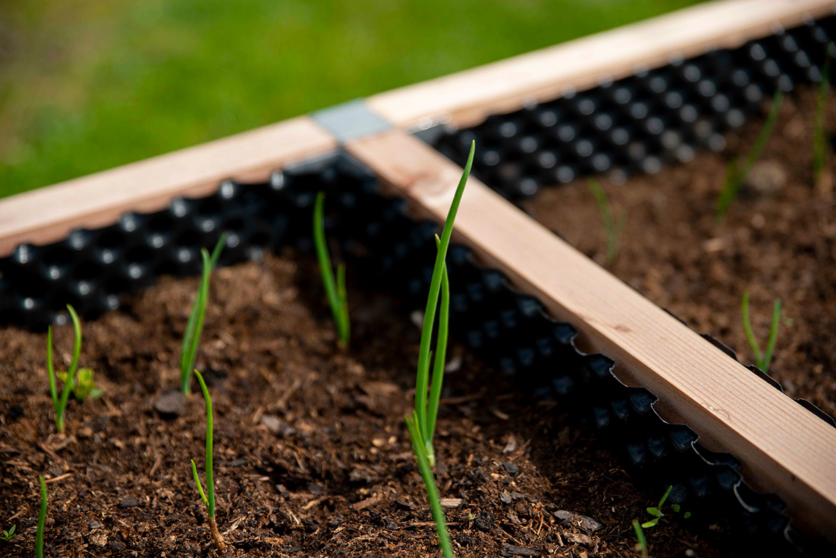Jak připravit zahradu na jaro