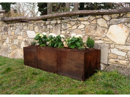 Coreten vyvýšené záhony 1011