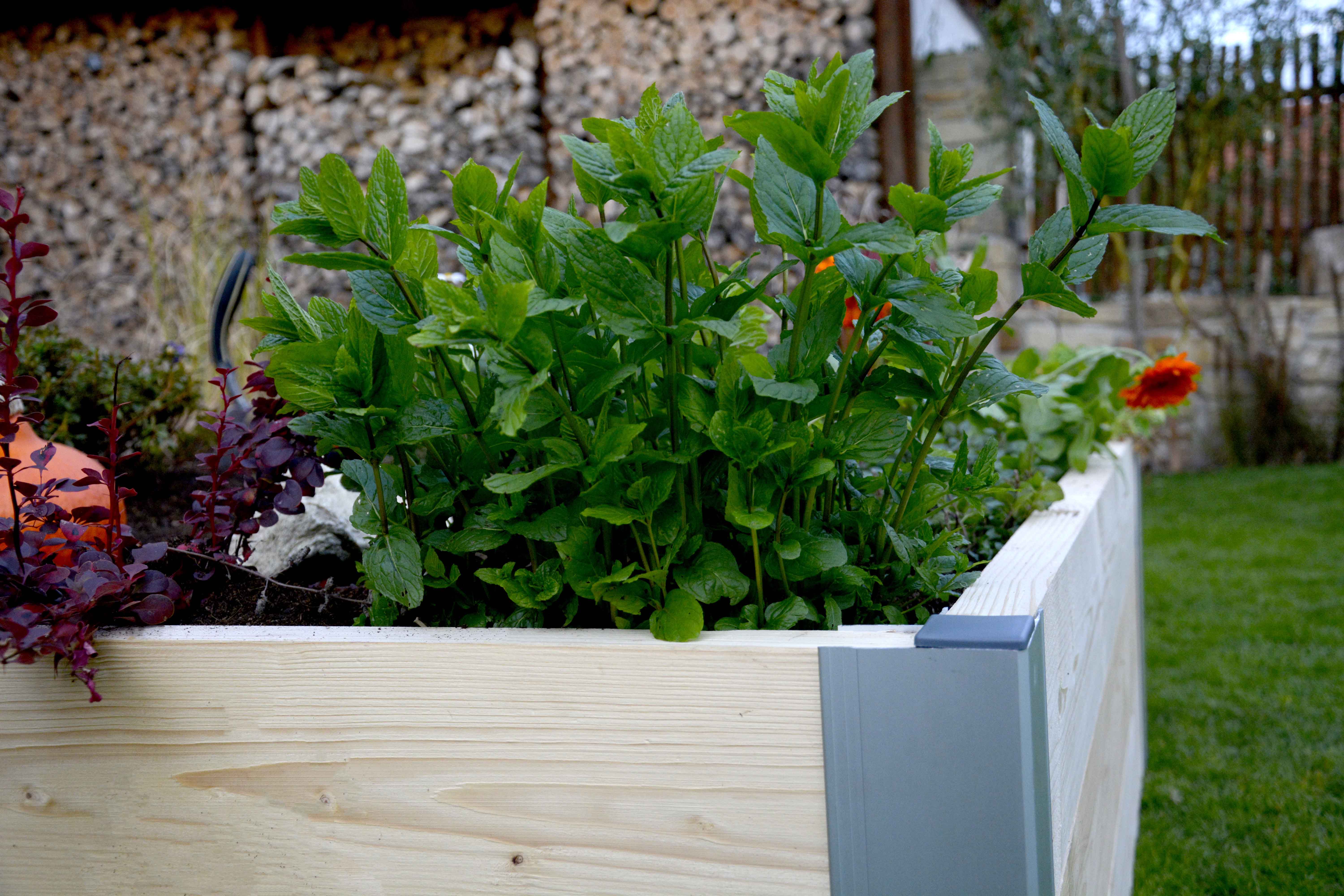 Výhody vyvýšených záhonov