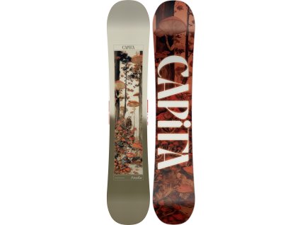 CAPiTA Snowboard Paradise