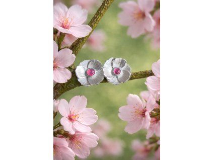 1ED3EDCE 2ABA 4664 A7FE 838142B1FE90