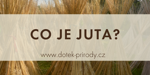 Co je juta?