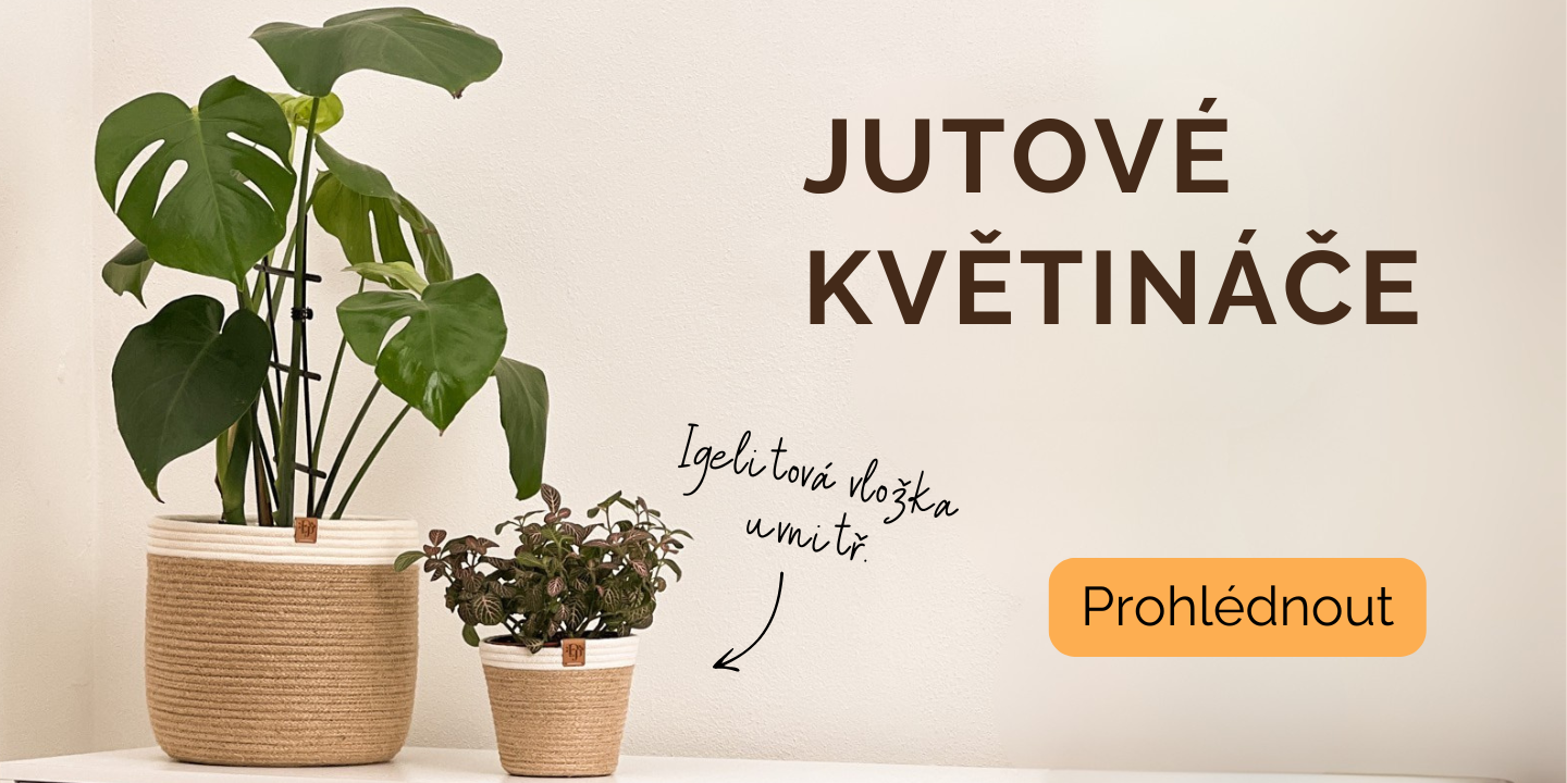 Novinka květináče