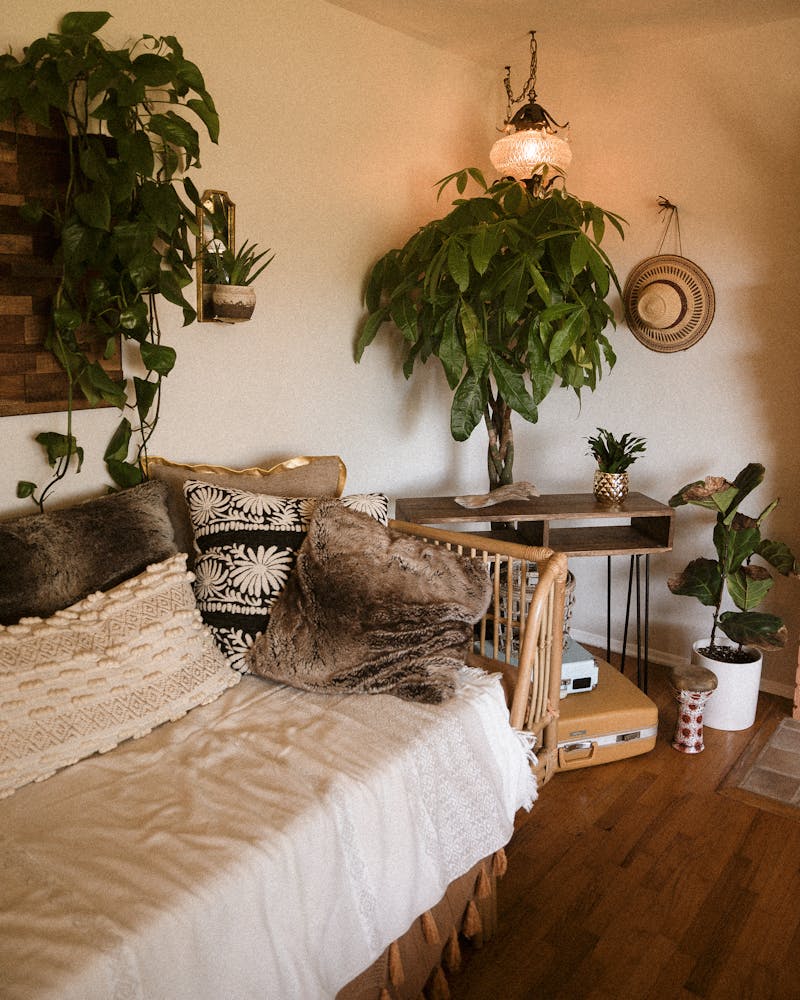 biophilic-design-jak-propojit-bydleni-s-prirodou