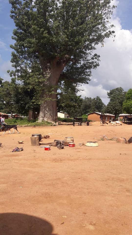 První ráno v Beninu