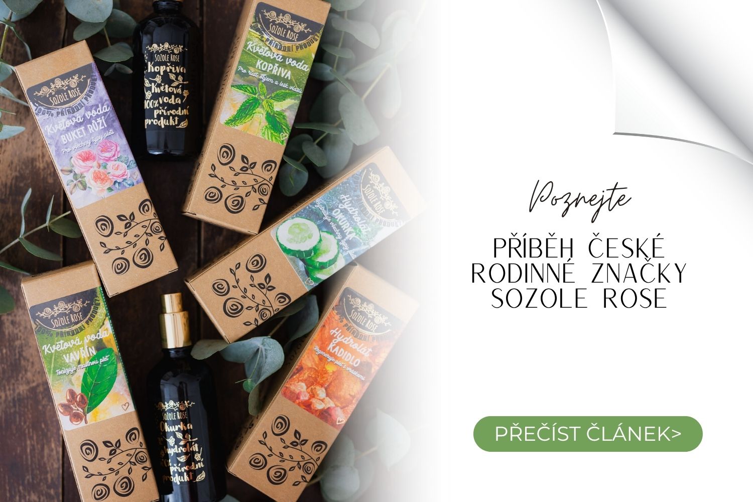 Sozole Rose článek